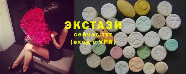 ECSTASY Алзамай