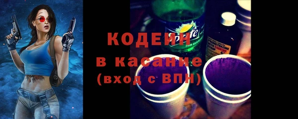 ECSTASY Алзамай