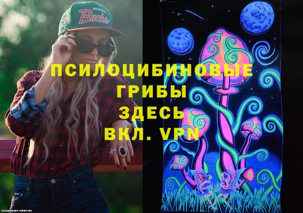 ECSTASY Алзамай
